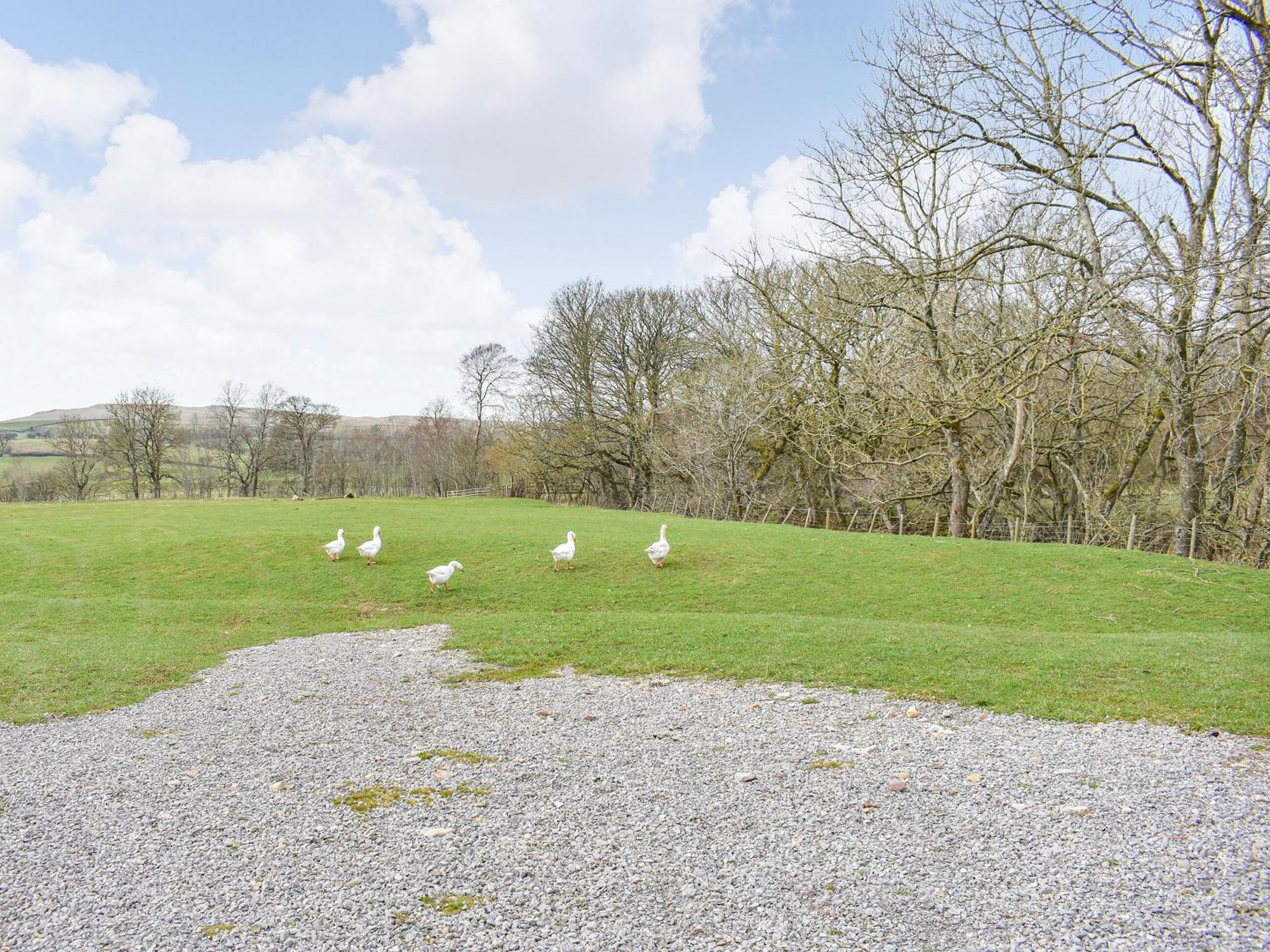 The Ash Uk38291 Villa Crosby Garrett Luaran gambar